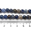 Natural Sodalite Beads Strands GSR6mmC013-1-4