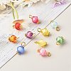 Transparent Acrylic Charms PALLOY-JF00877-5