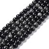 Natural Silver Obsidian Beads Strands G-D083-01C-1