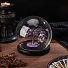 Glass Round Cover AJEW-WH0314-447B-02-5