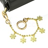 Purse Chain Strap AJEW-BA00117-01-4