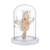 Glass Dome Cover AJEW-WH0752-087B-1