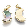 Natural Black Lip Shell Pendants KK-R112-005-NF-2
