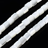 Natural Trochid Shell/Trochus Shell Beads Strands SSHEL-N034-77-A01-1