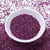 MIYUKI Delica Beads X-SEED-J020-DB2162-2