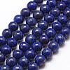 Natural Dyed Lapis Lazuli Bead Strands G-G953-04-10mm-1