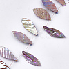 Freshwater Shell Beads Strands SHEL-T012-51-2