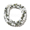 Electroplate Glass Faceted Rondelle Beads Strands EGLA-D020-8x5mm-M3-2