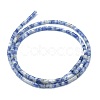Natural Blue Spot Jasper Beads Strands G-F631-B11-2