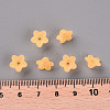 Transparent Acrylic Beads X-PL554-07-5