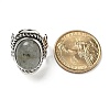 Natural Labradorite Adjustable Rings RJEW-I108-01AS-03-5