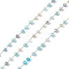 Handmade Glass Beaded Chains CHS-P016-46G-07-1