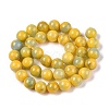 Dyed Natural White Jade Beads Strands G-T138-10mm-210-26-2