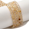 Natural Gold Rutilated Quartz Beads Strands G-B090-A30-03-1