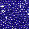 Glass Seed Beads SEED-H002-C-A048-3