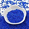 Baking Paint Glass Seed Beads X-SEED-S042-05B-77-2