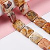 Natural Crazy Lace Agate Beads Strands G-L253-12-2