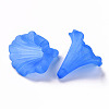 Transparent Acrylic Beads BSF796-C05-3