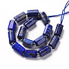 Natural Lapis Lazuli Beads Strands G-S345-8x11-002-2
