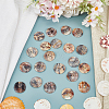 40Pcs 2-Hole Shell Buttons BUTT-GO0001-10-4