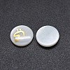 Shell Cabochons SSHEL-E568-A04-1