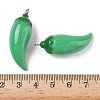 Opaque Acrylic Pendants OACR-Z031-01P-03-3