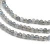 Natural Labradorite Beads Strands G-I341-11B-3