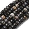 Natural Bamboo Leaf Agate Beads Strands G-A280-A07-02-2