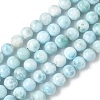 Natural Larimar Beads Strands G-B141-01-6mm-2