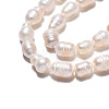 Natural Cultured Freshwater Pearl Beads Strands X-PEAR-N012-05E-4