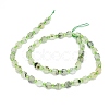 Natural Prehnite Beads Strands G-O201B-19-3