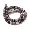 Natural Gemstone Beads Strands G-H067-A01-10MM-3