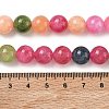 Dyed Natural Malaysia Jade Beads Strands G-G021-02C-26-2