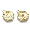 Alloy Pendants PALLOY-N157-003Z-NR-2