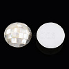 Natural White Shell Beads SHEL-F007-16A-2