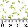 FGB 11/0 Grade A Glass Seed Beads X-SEED-S030-1013-4
