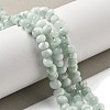 Natural Glass Beads Strands G-Q024-D02-01-2