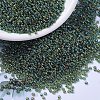 MIYUKI Round Rocailles Beads X-SEED-G007-RR0288-1