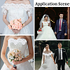 3 Yards Polyester Lace Ribbons SRIB-GF0001-59-5