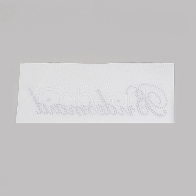 Hotfix Glass Rhinestone LS-DIY-WH0224-98-1