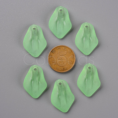 Transparent Frosted Acrylic Pendants MACR-S371-03A-733-1