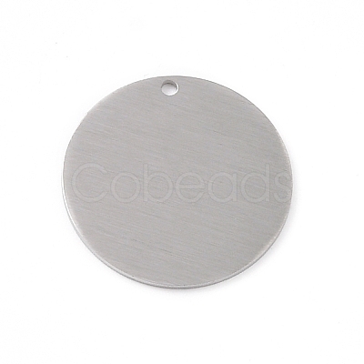 Tarnish Resistant 304 Stainless Steel Pendants STAS-F271-02E-P-1