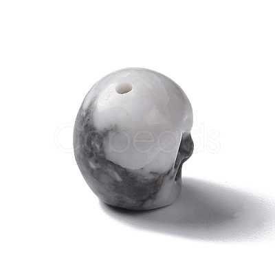 Natural Howlite Beads G-I352-06-1