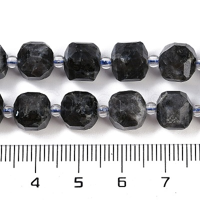 Natural Larvikite Beads Strands G-B125-O05-01-1