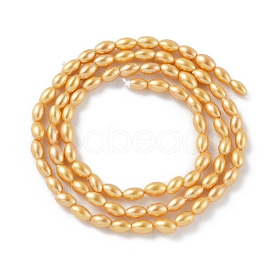 Electroplated Shell Pearl Beads Strands BSHE-Z009-10B-01-1