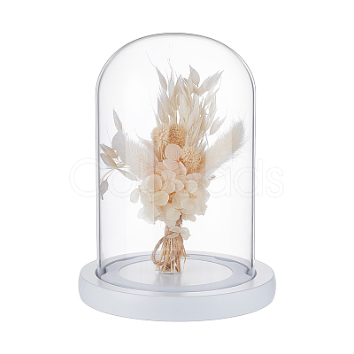 Glass Dome Cover AJEW-WH0752-087B-1