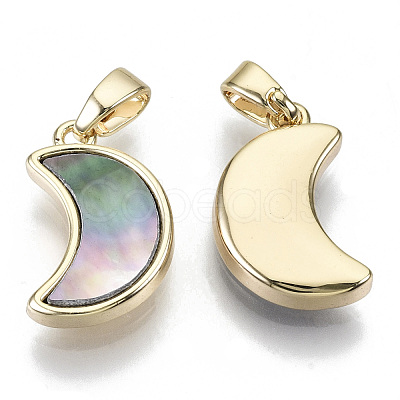 Natural Black Lip Shell Pendants KK-R112-005-NF-1