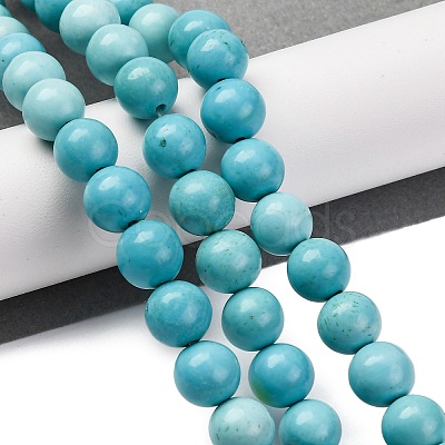 Dyed Natural Magnesite Beads Strands G-P558-A01-01B-1