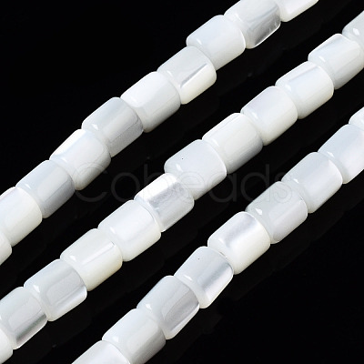Natural Trochid Shell/Trochus Shell Beads Strands SSHEL-N034-77-A01-1