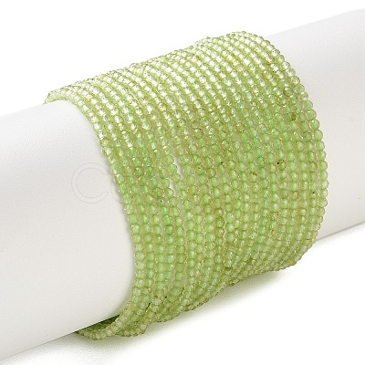 Natural Peridot Beads Strands G-P603-C-2mm-01-1